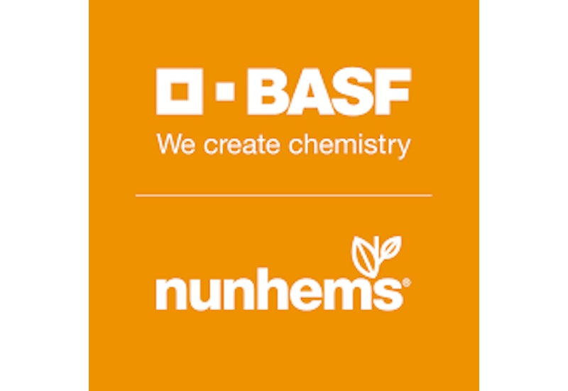 BASF Nunhems logo