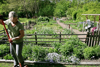 Placeholder for Moestuin schoffelen