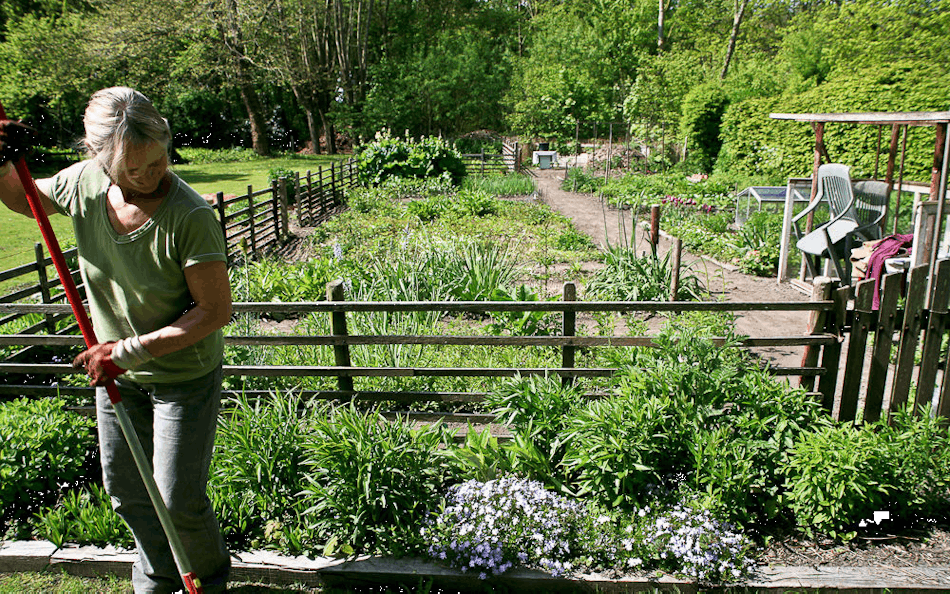 Placeholder for Moestuin schoffelen