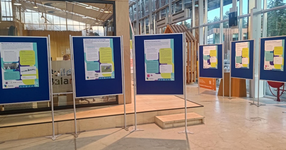 Placeholder for P 20251120 161116