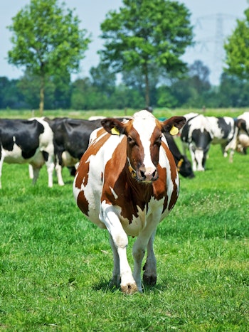 Placeholder for PWIJ20100529 2022