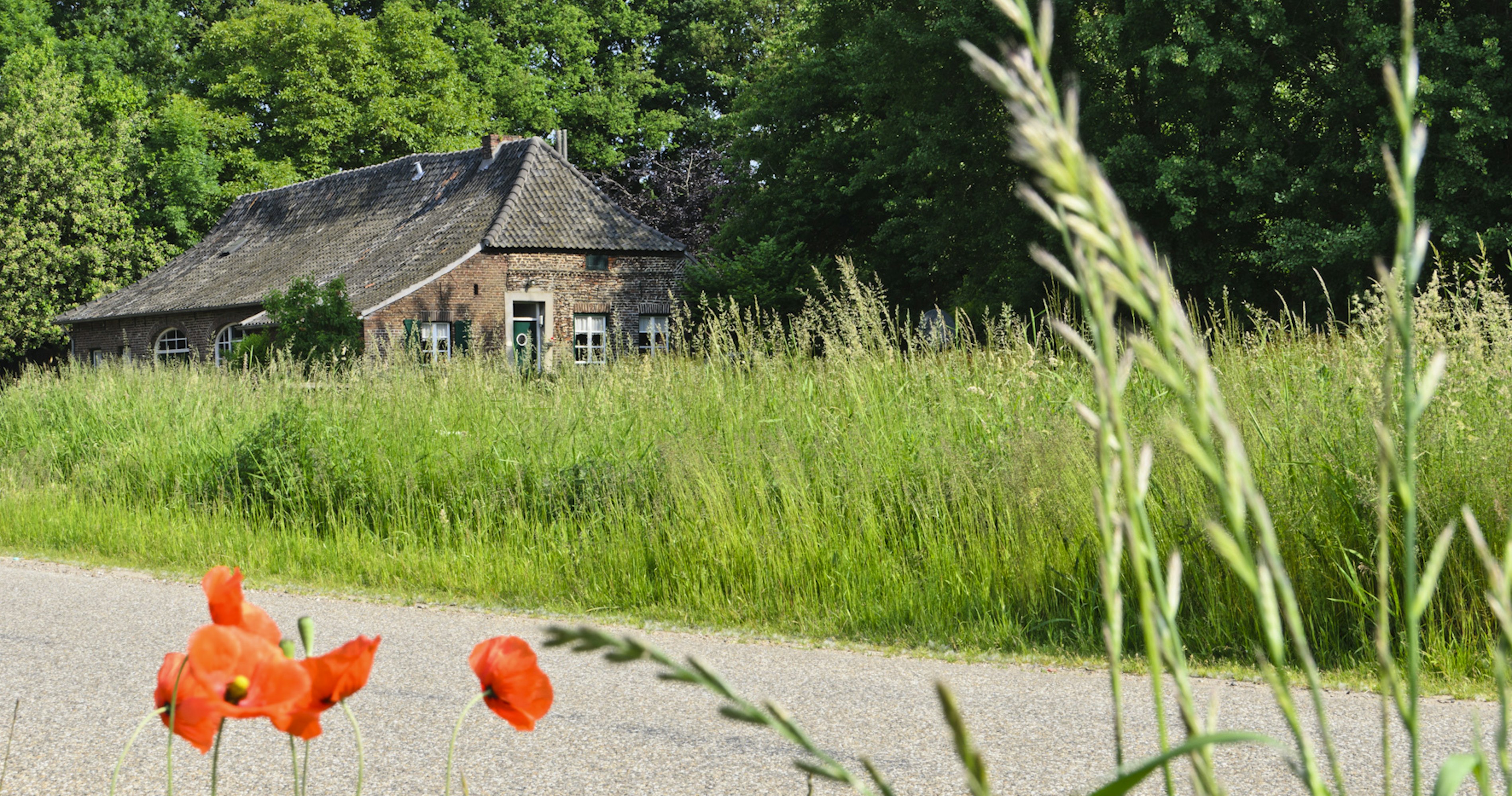 Peel en Maas Maasbree