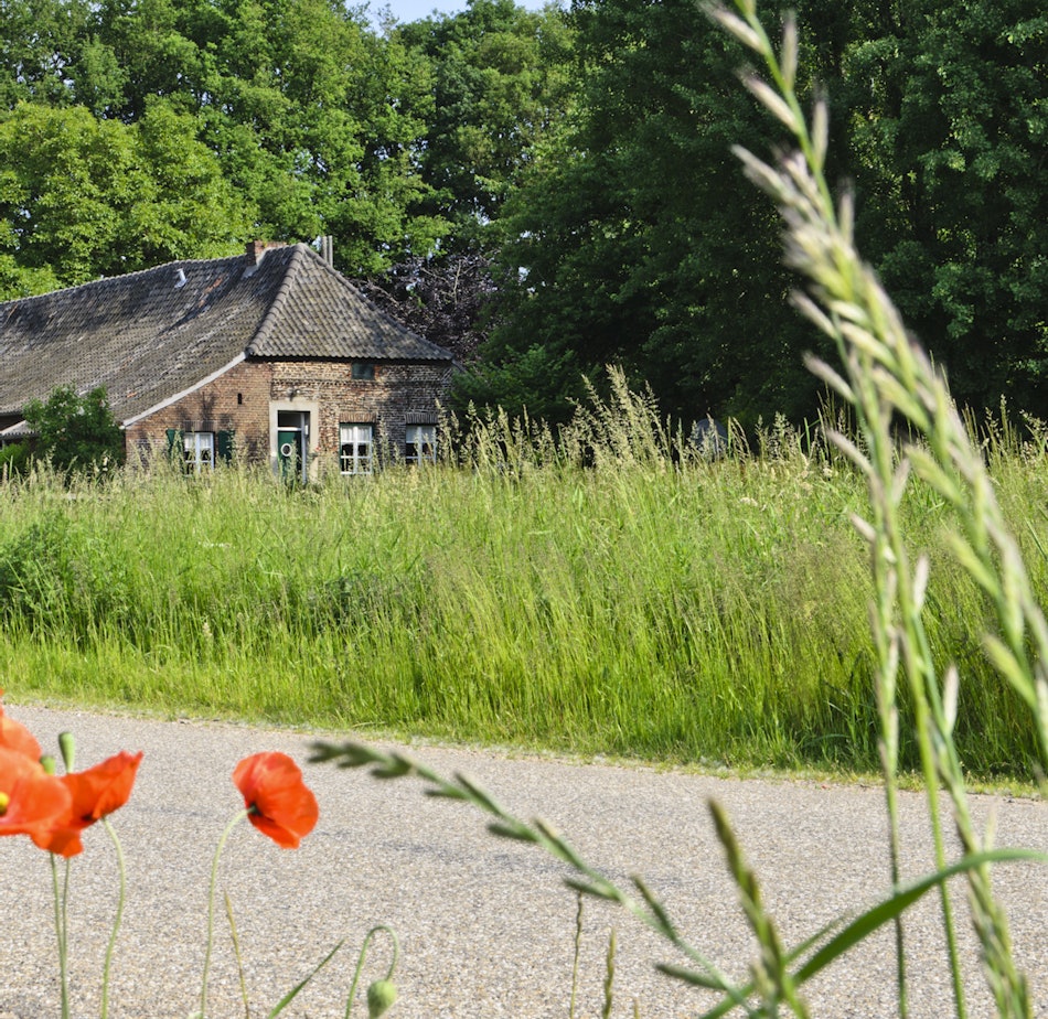Placeholder for Peel en Maas Maasbree