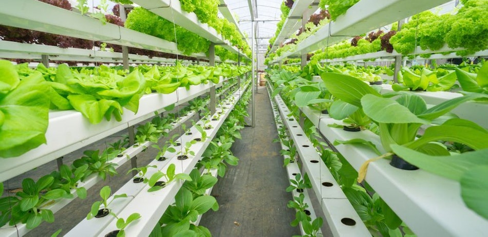 Placeholder for Agropole future farming 1564379518