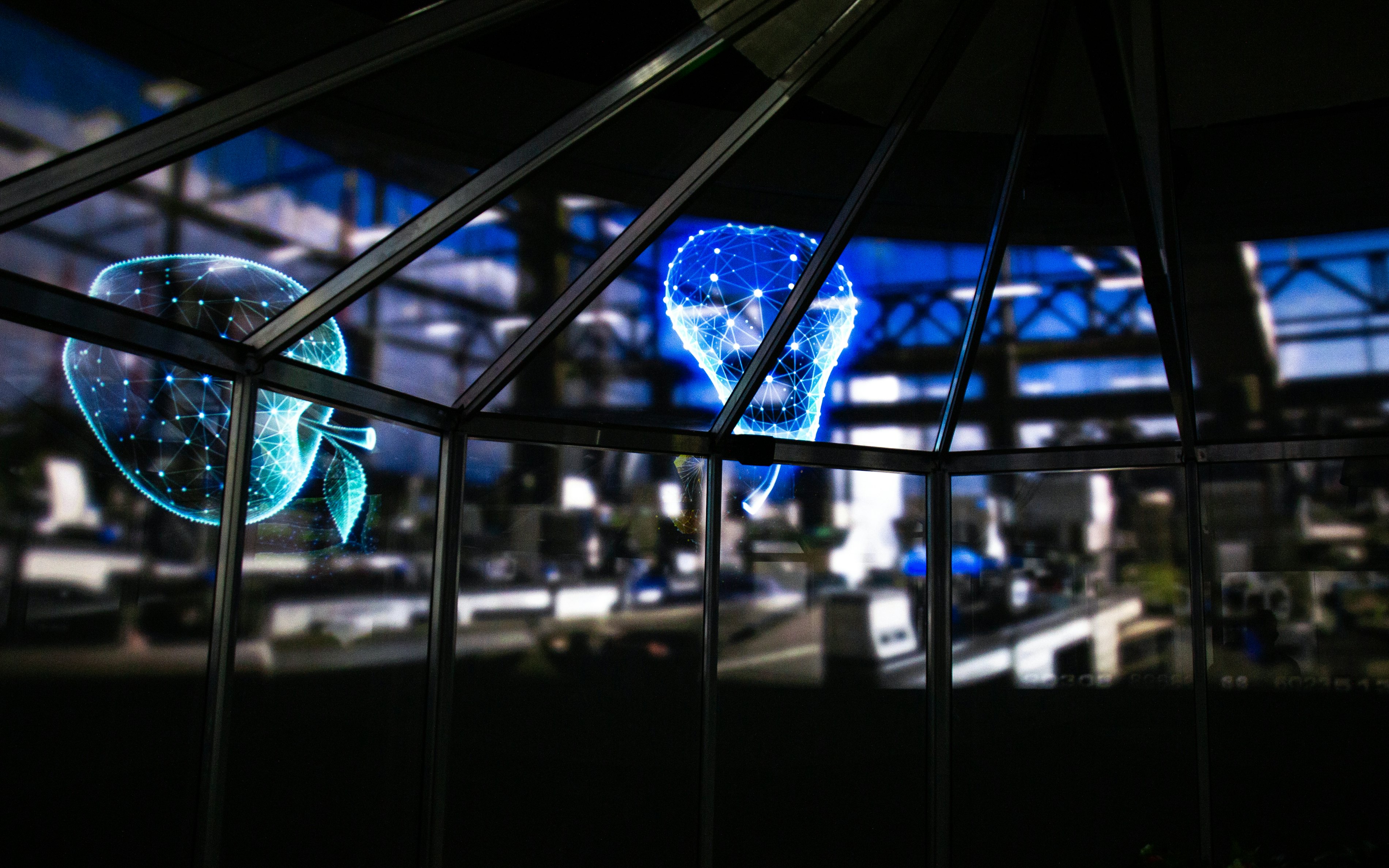 Future Food Experience 2