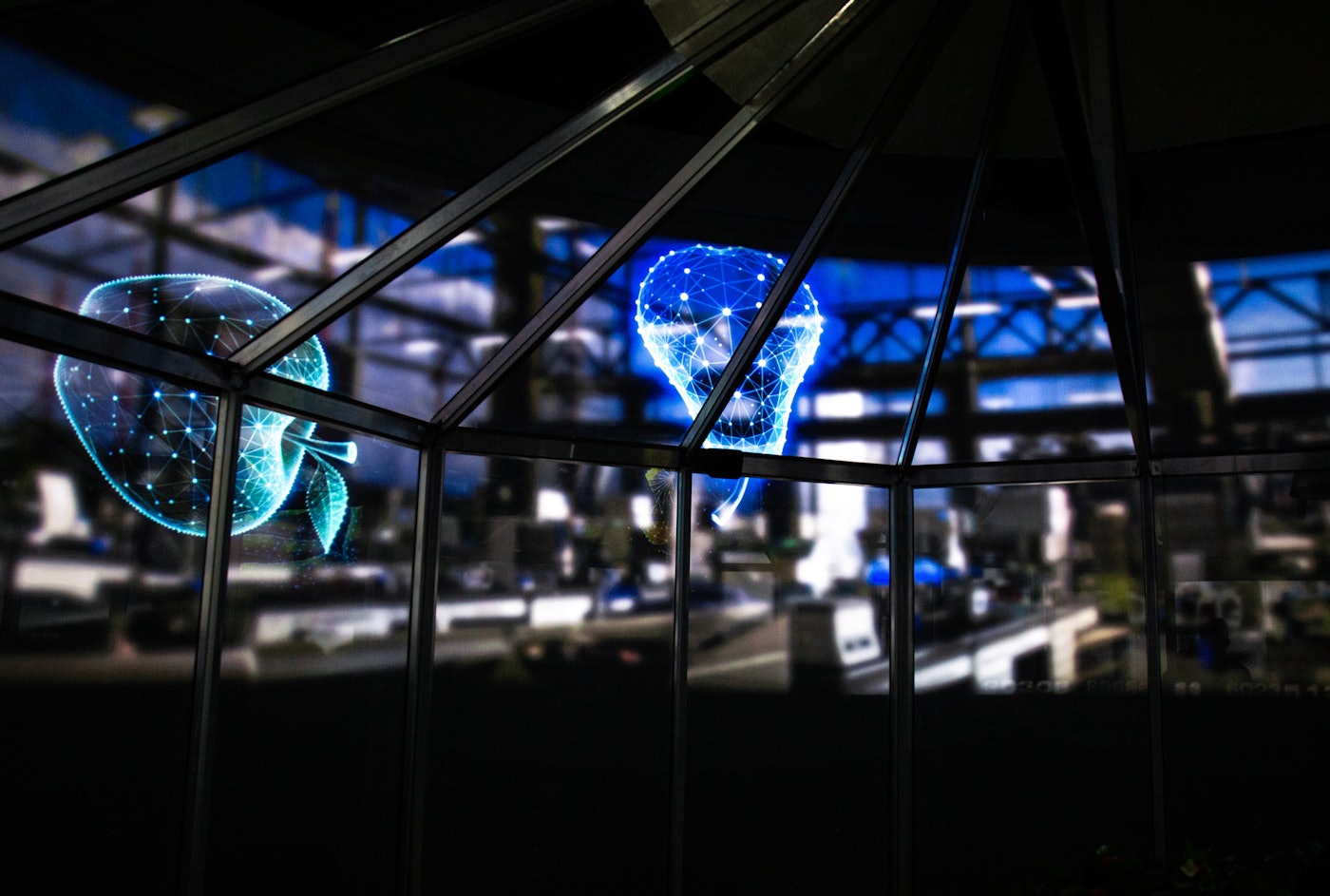 Future Food Experience 2