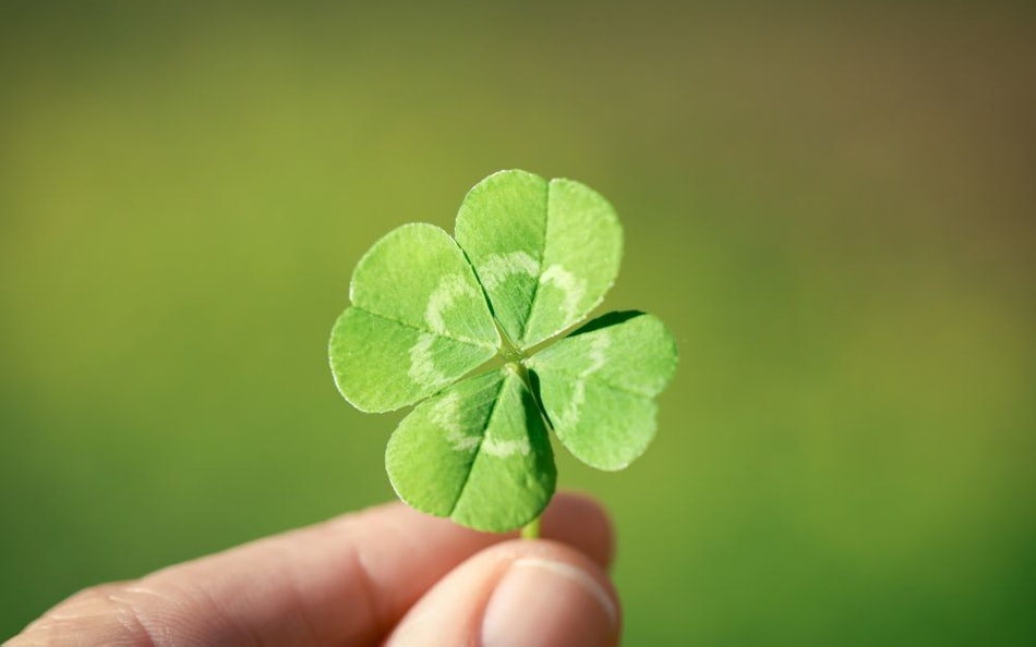 Placeholder for Klavertje vier