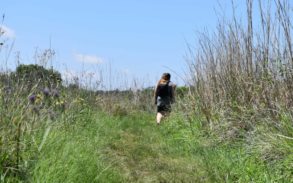 Placeholder for Maaspark Ooijen Wanssum