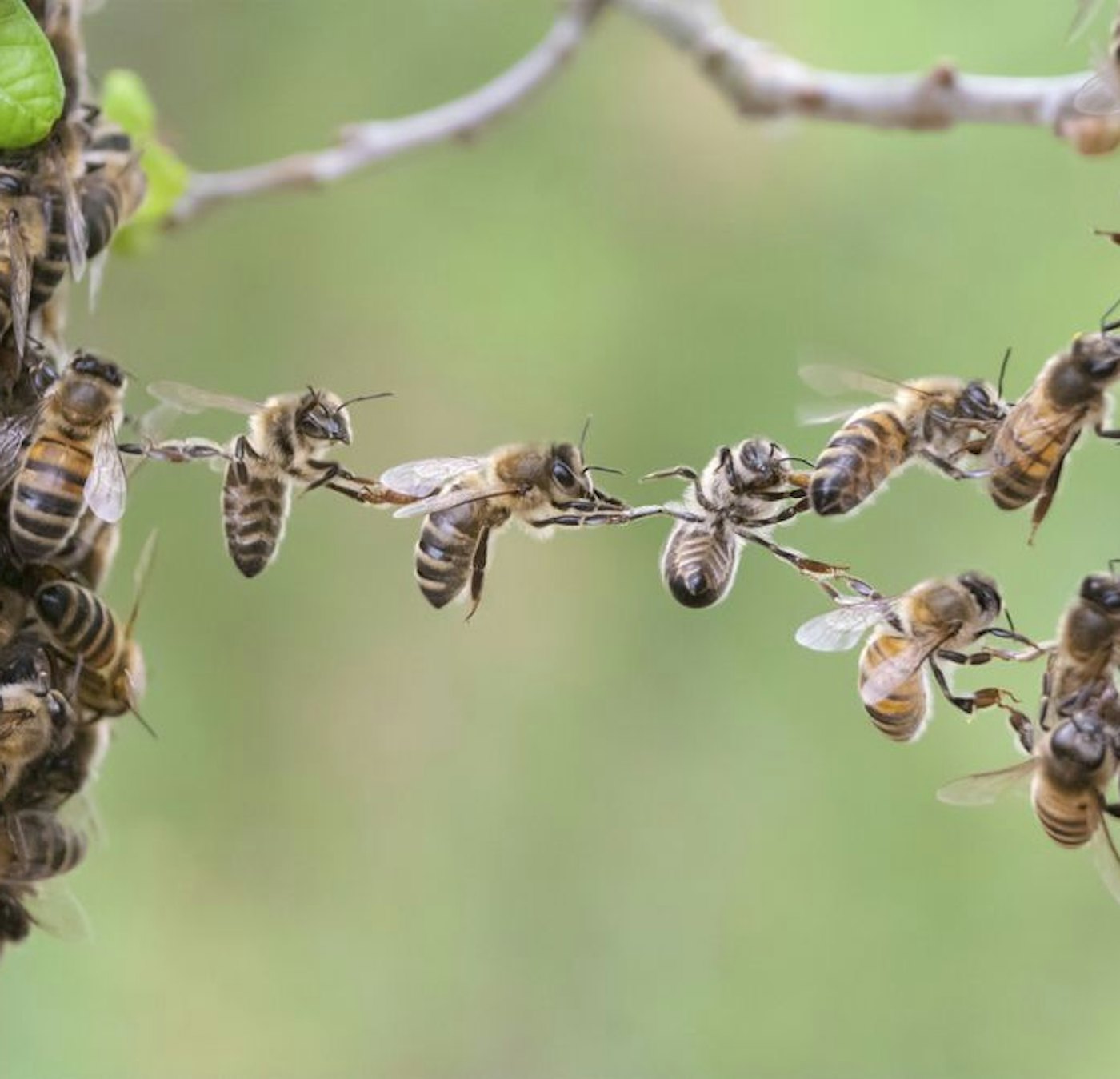 Proces verbinding teamwork