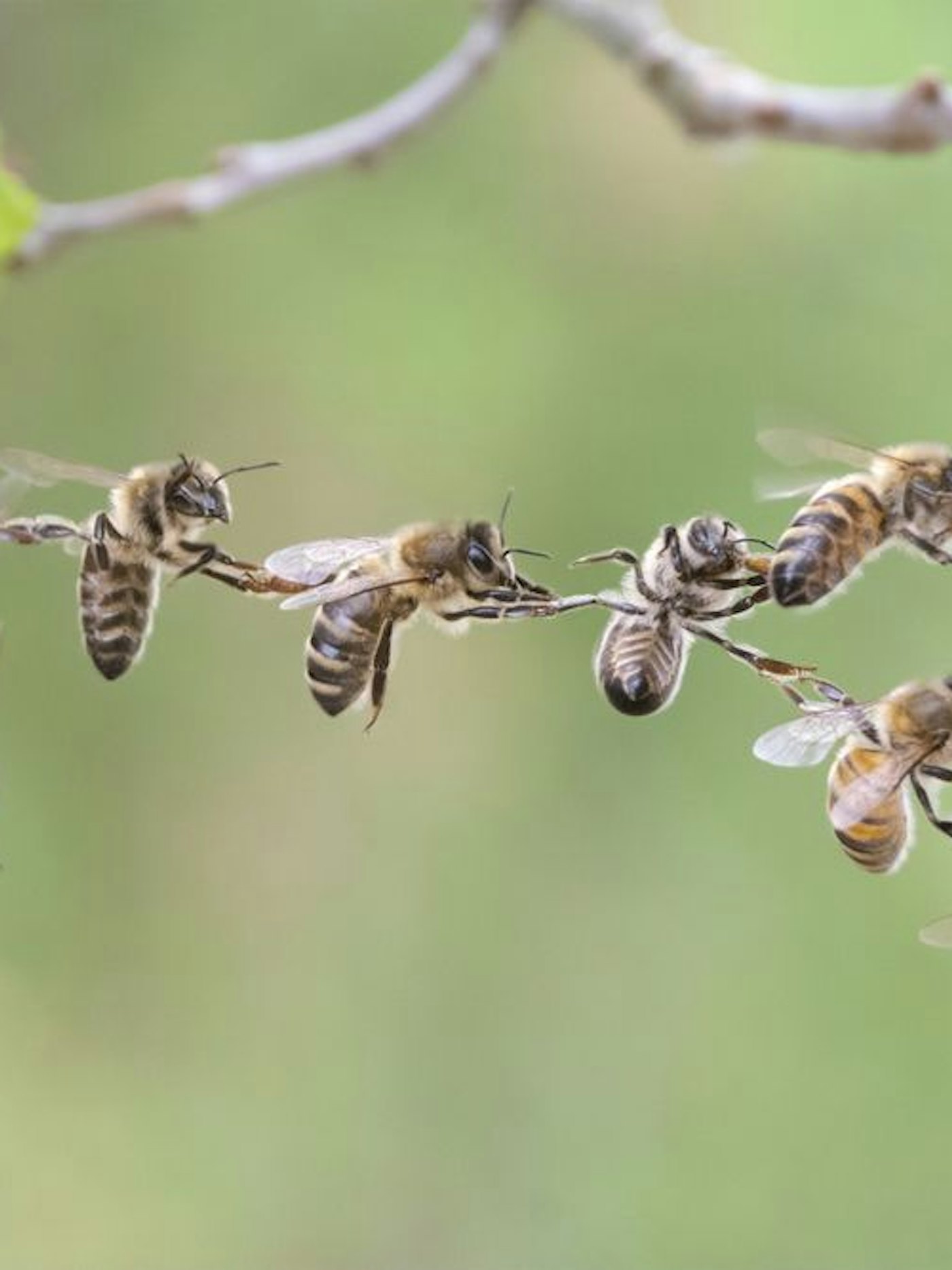 Proces verbinding teamwork