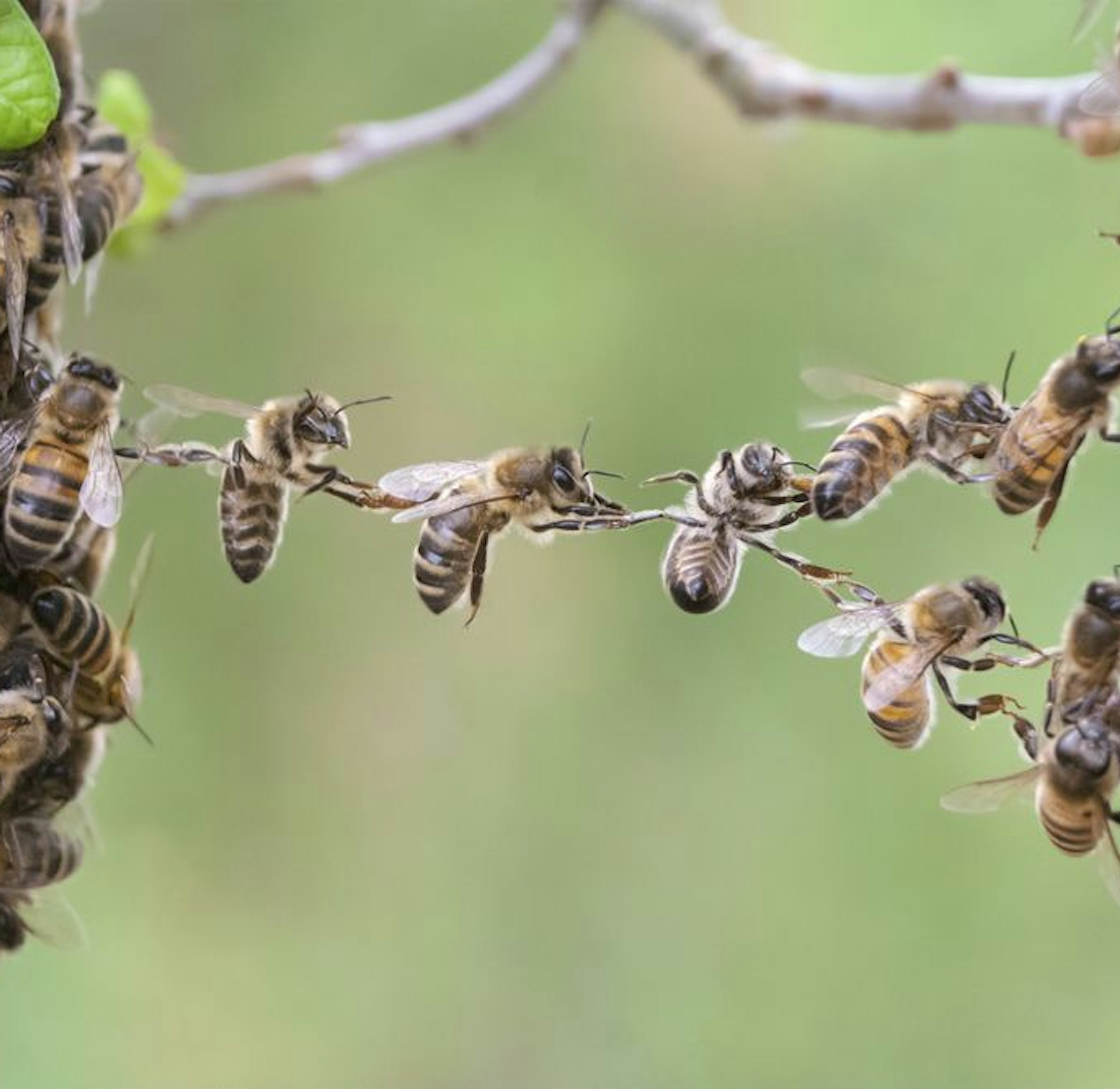 Proces verbinding teamwork