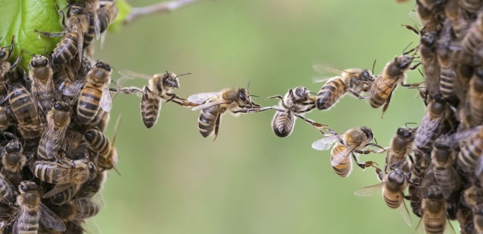 Placeholder for Proces verbinding teamwork