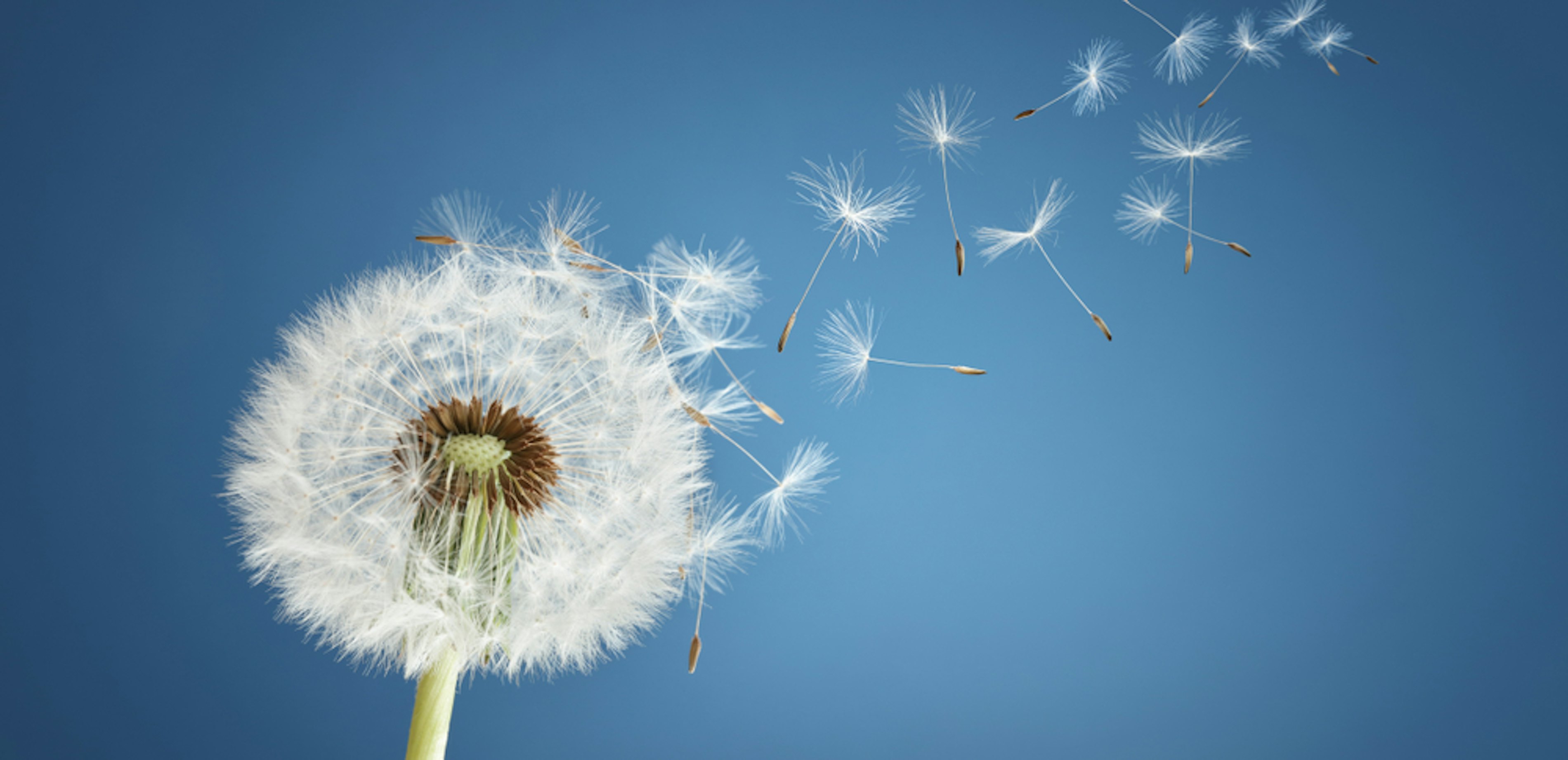 Shutterstock 1094860721