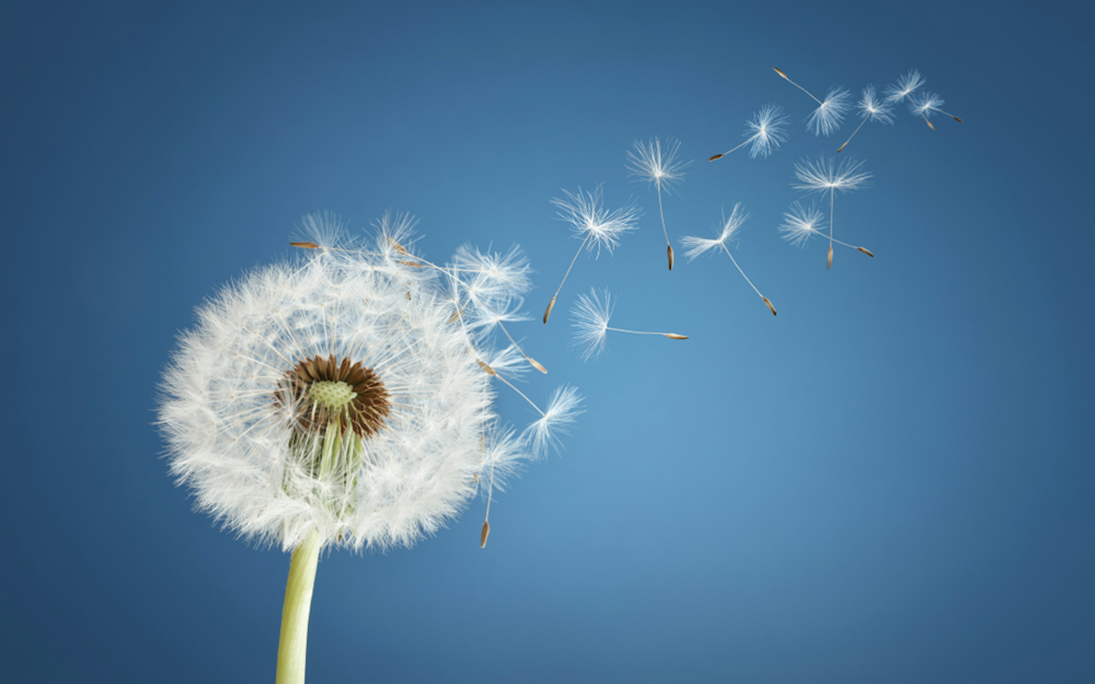 Shutterstock 1094860721