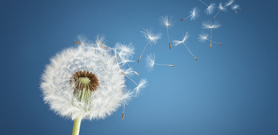 Placeholder for Shutterstock 1094860721