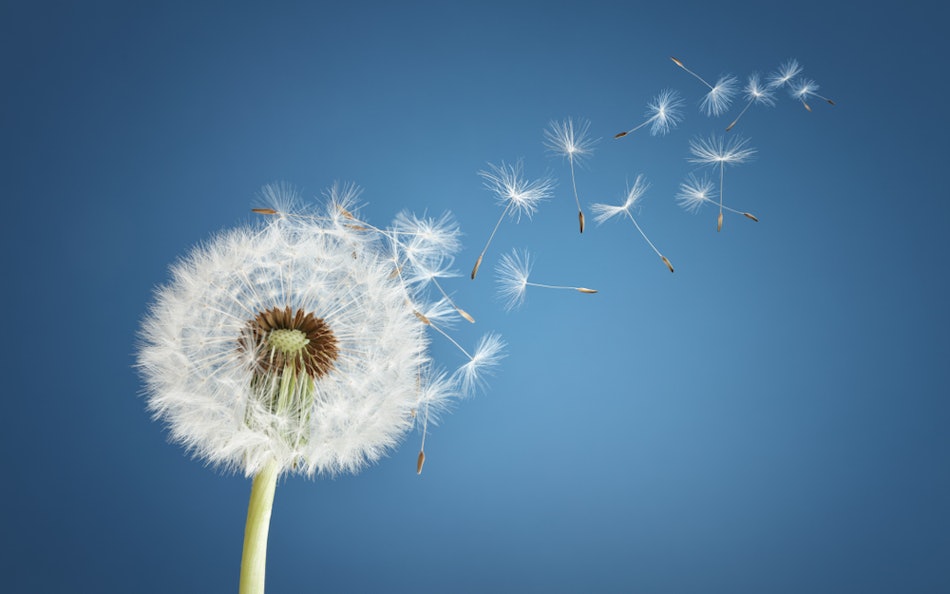 Placeholder for Shutterstock 1094860721