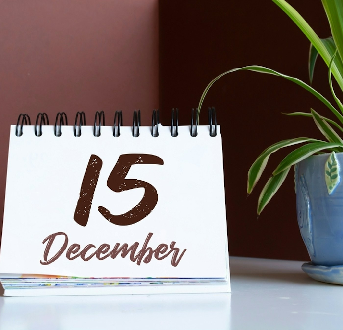 Shutterstock 2080675690