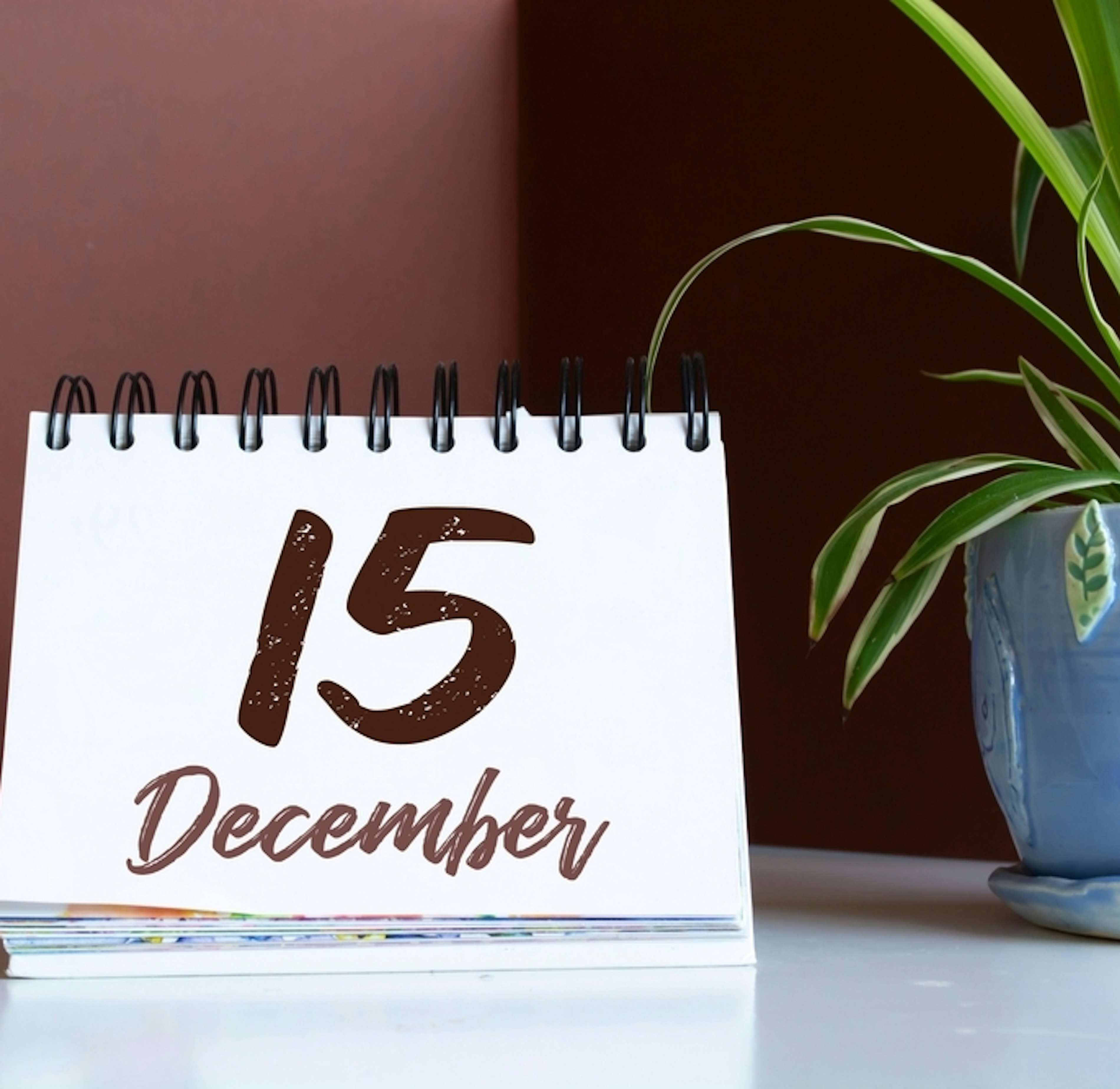 Shutterstock 2080675690