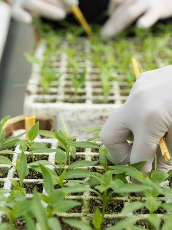 Placeholder for Onderzoekskas Brightlands