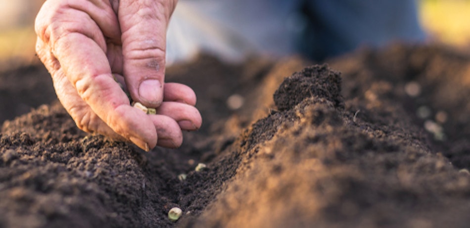 Placeholder for Sowing seeds