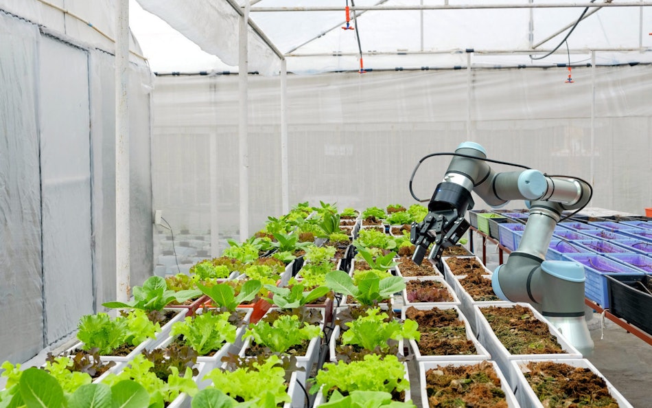 Placeholder for Header02